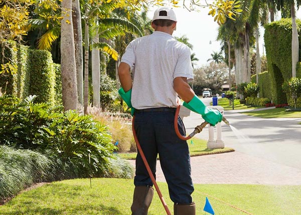 About Savonburg KS Pest Control